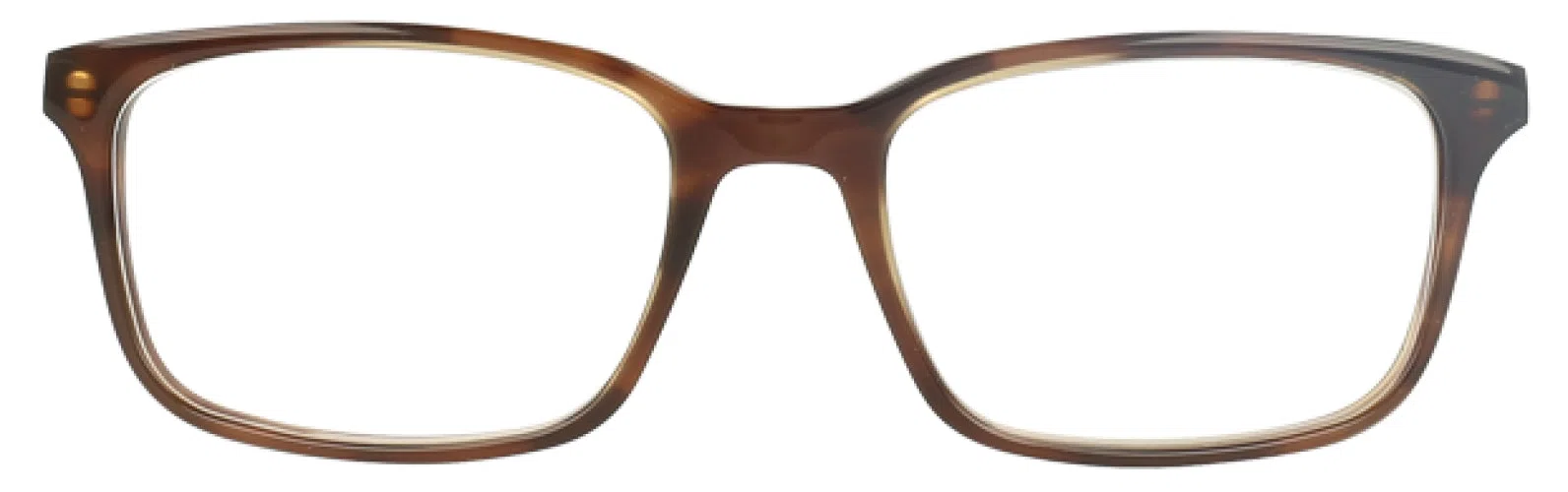 Ducks Unlimited DUCANVASBACK Eyeglasses - view 10